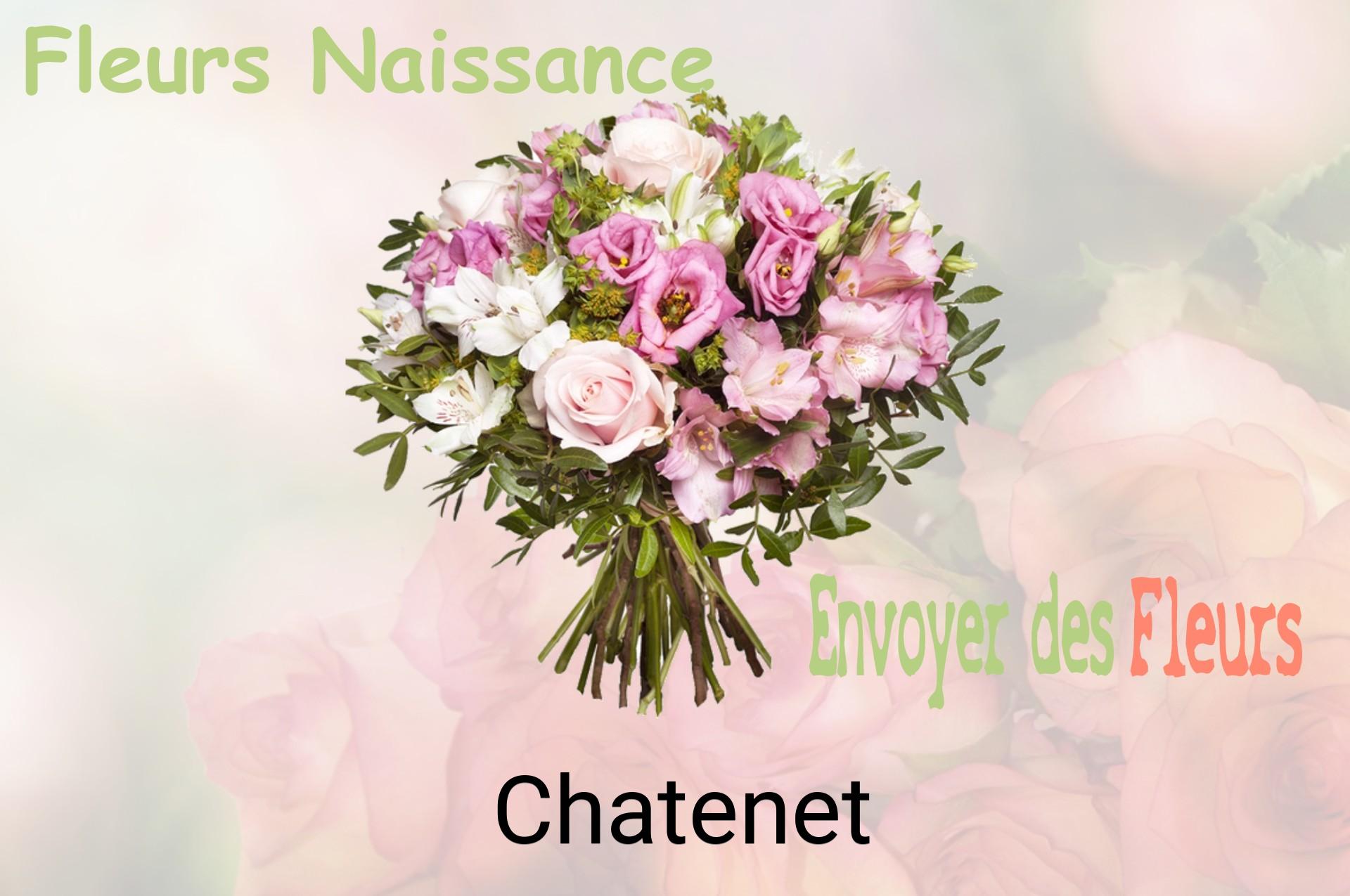 Bouquet de fleurs de naissance livré à Chatenet